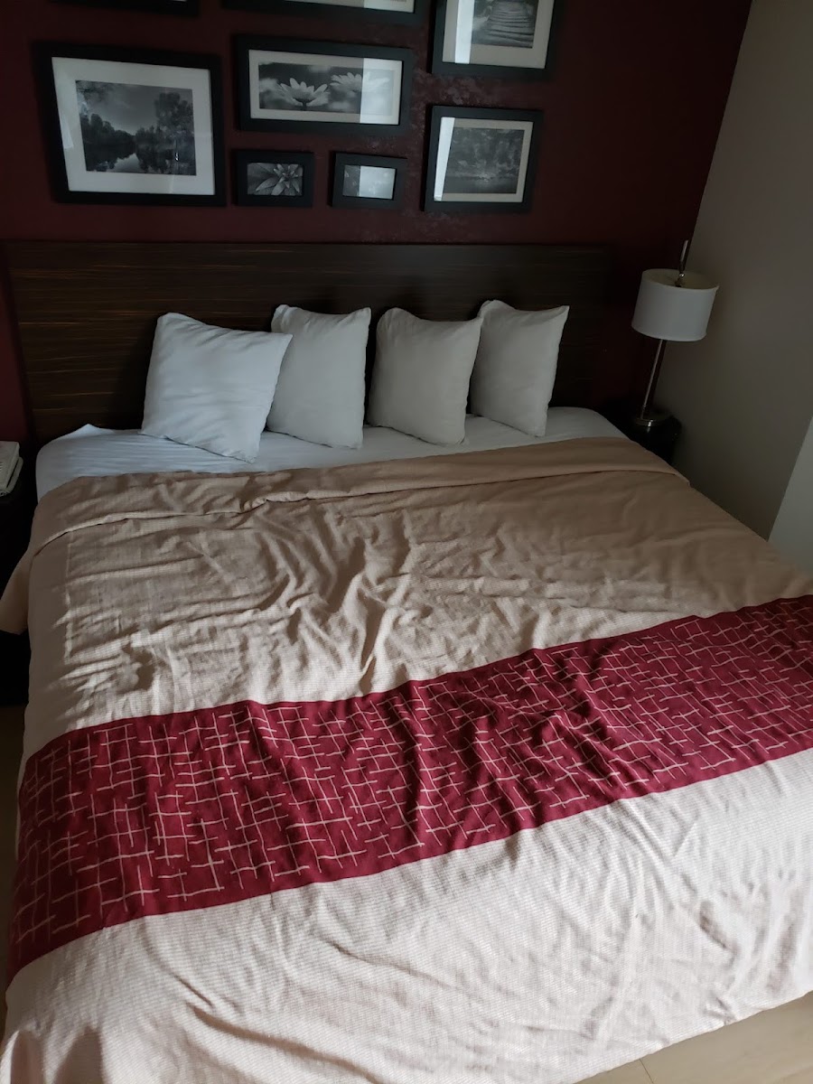 Red Roof Inn New Orleans Airport photo 3