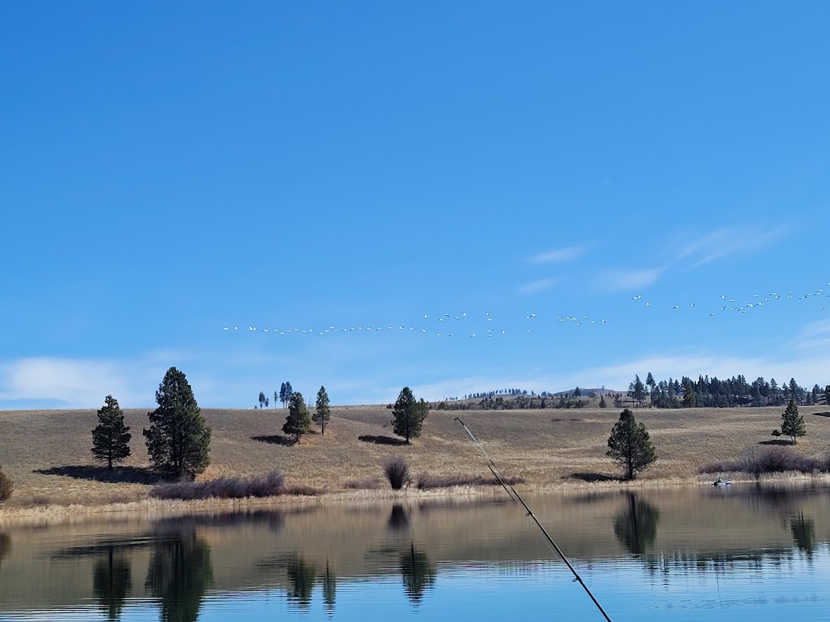Harpers Lake