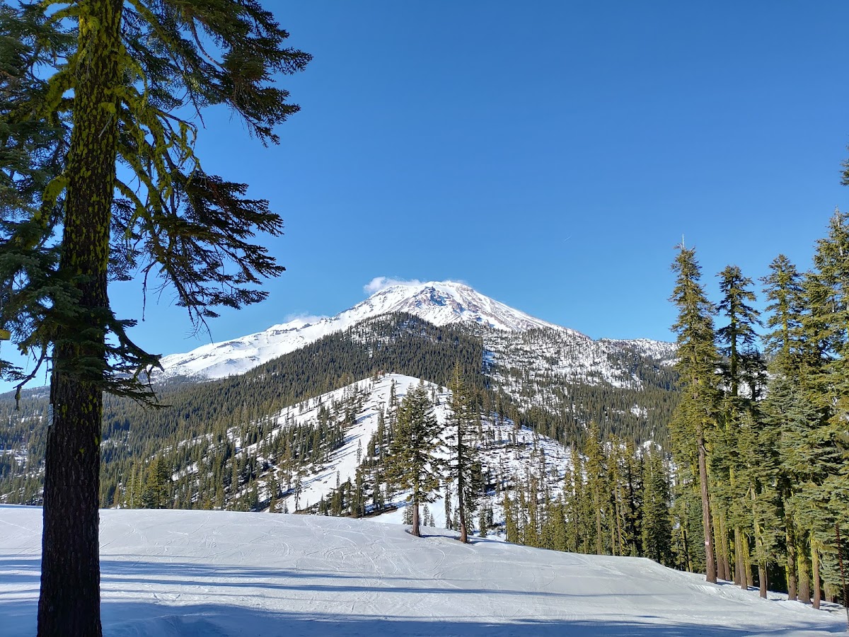 Mt. Shasta Ski Park photo 2