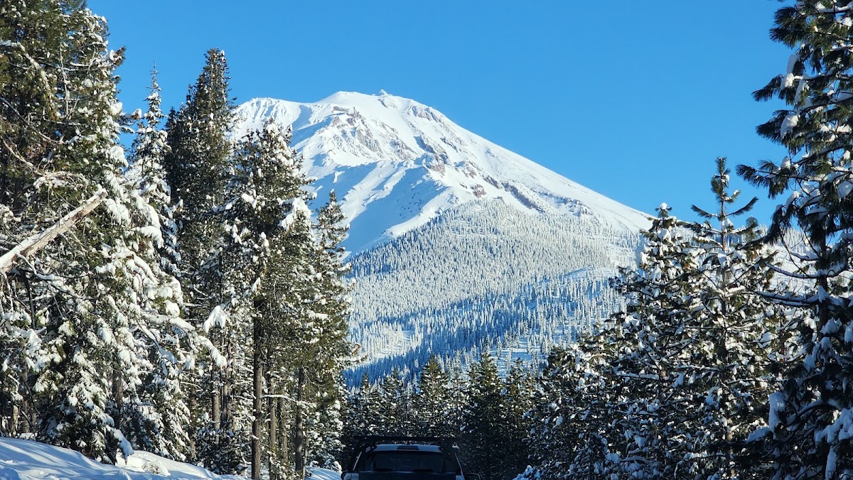 Mt. Shasta Ski Park photo 3