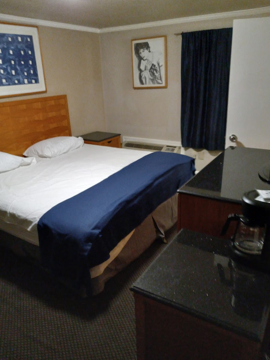 Mount Royal Inn photo 2
