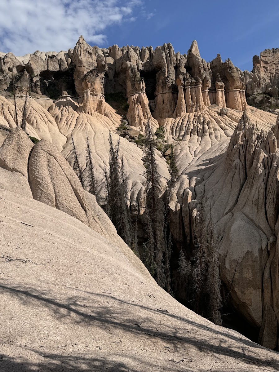 Wheeler Geologic Area