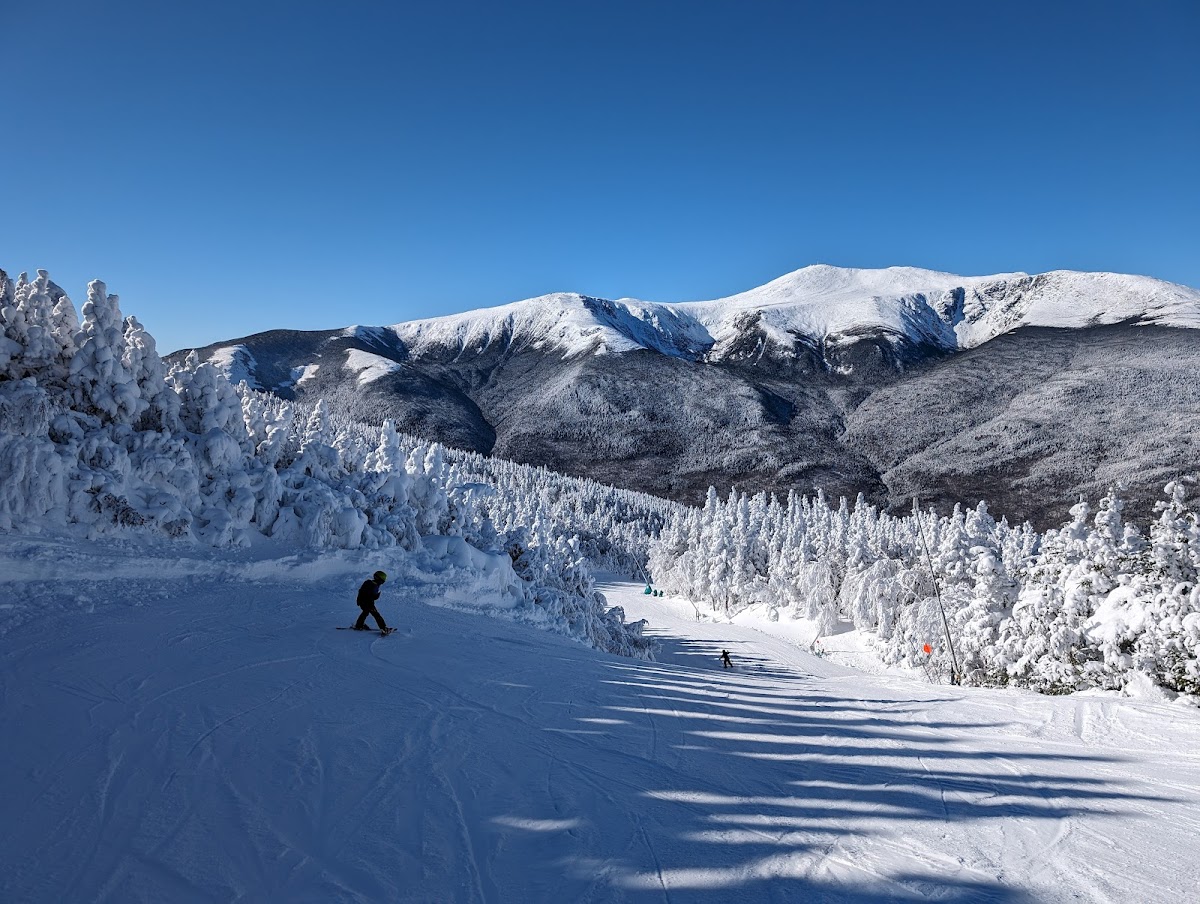 Wildcat Mountain