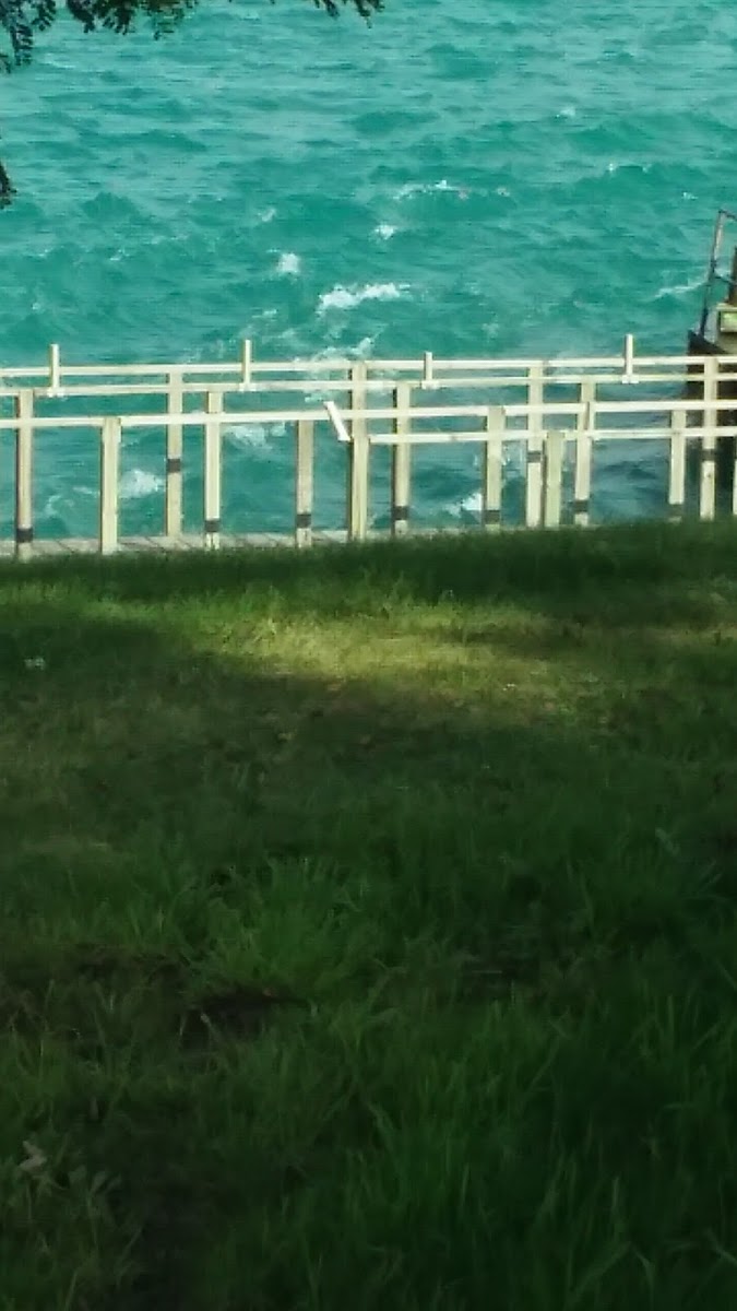 St Clair River Lodge photo 2