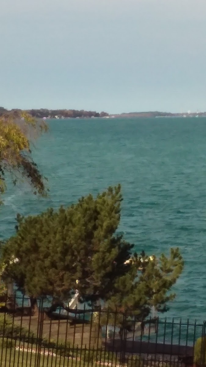 St Clair River Lodge photo 3