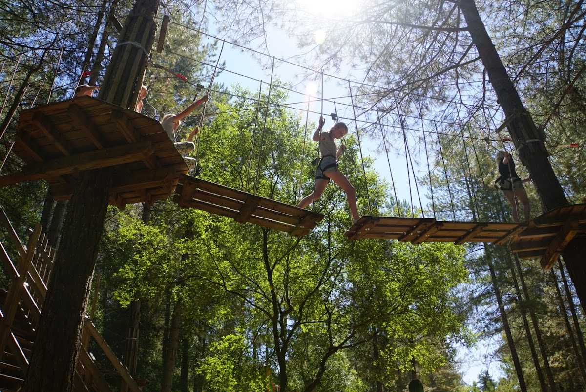 Moors Valley Country Park & Forest