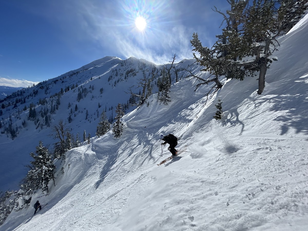 Bridger Bowl Ski Area