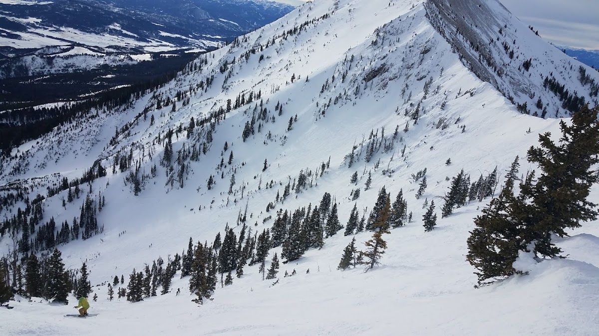 Bridger Bowl Ski Area photo 2