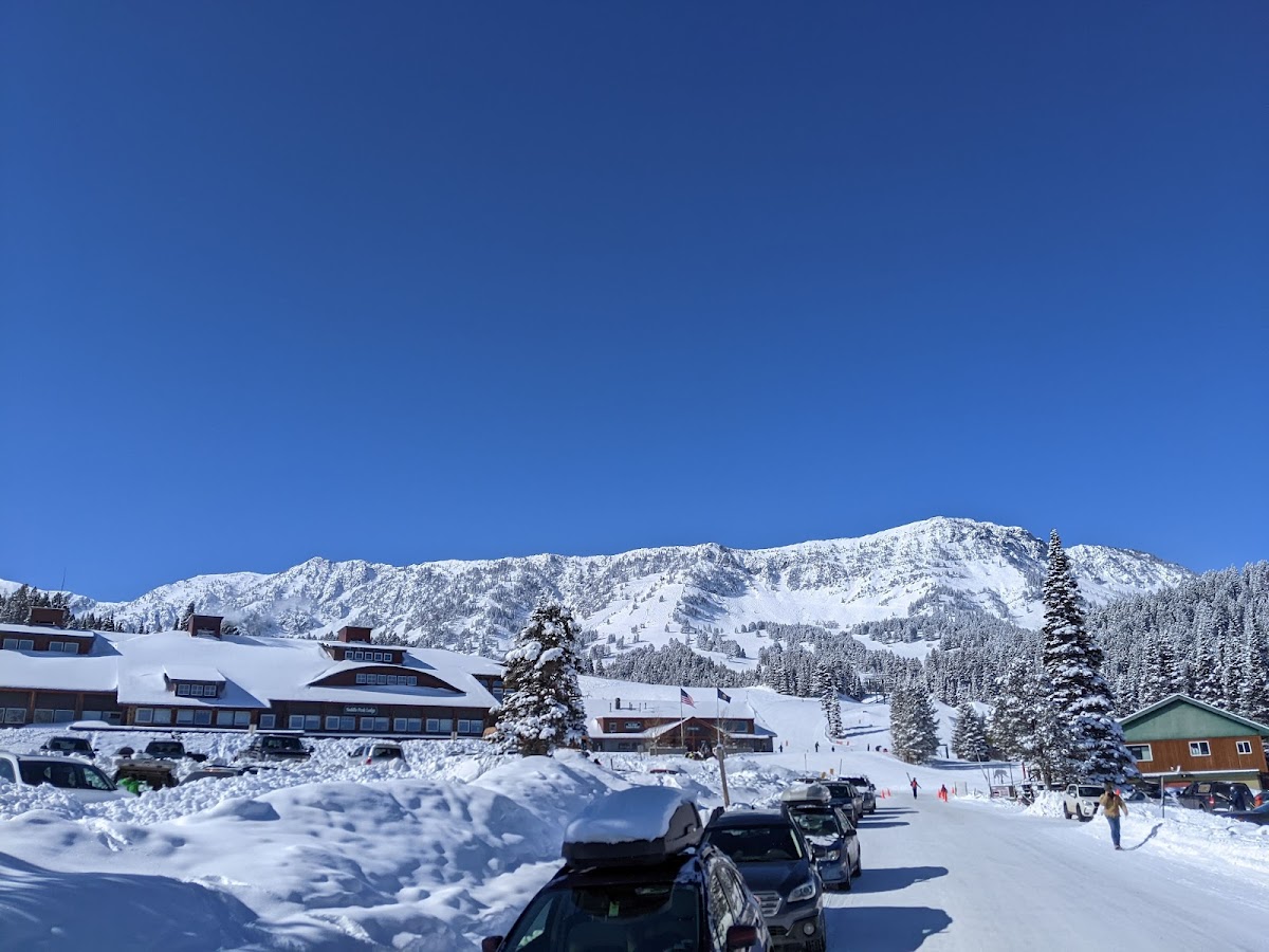 Bridger Bowl Ski Area photo 3