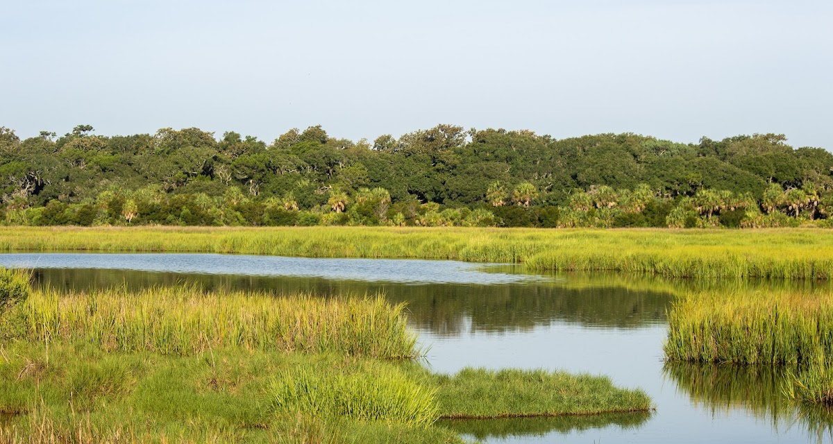 Little St. Simons