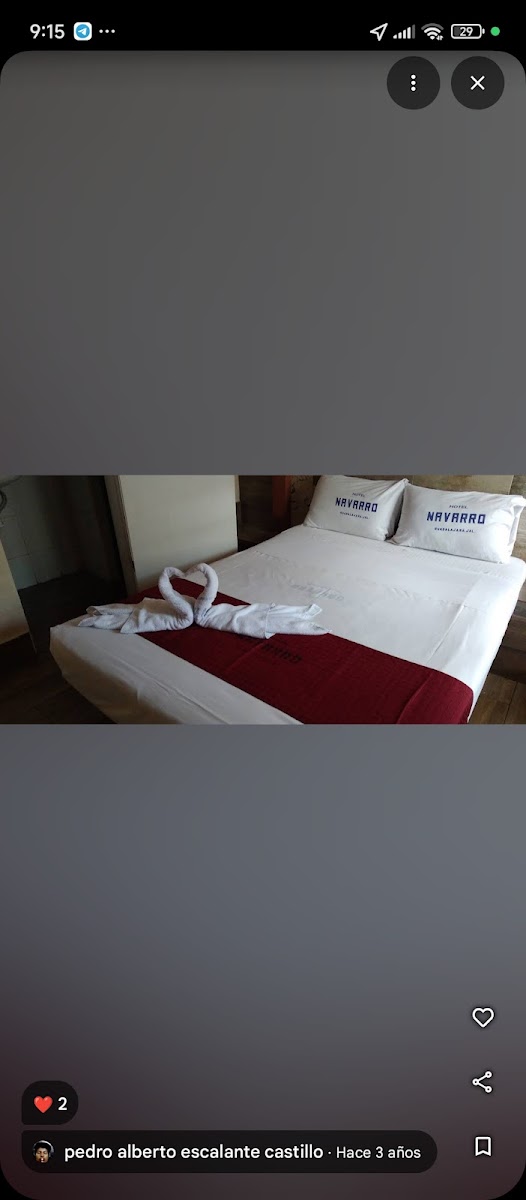 Hotel Navarro photo 2