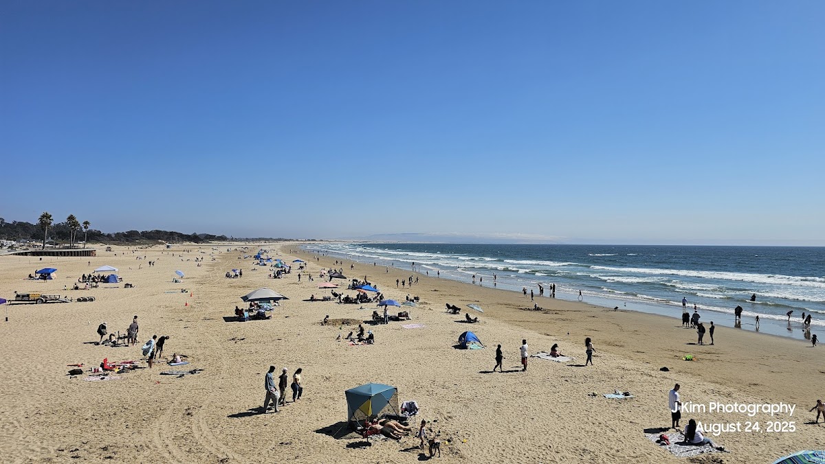 Pismo State Beach