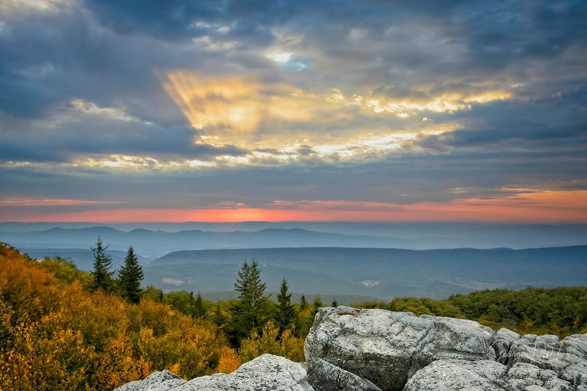 Bear Rocks Preserve