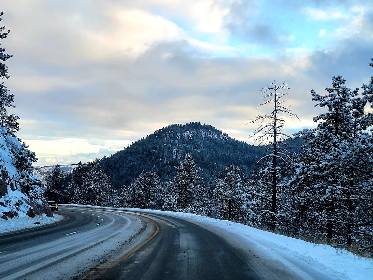 Roosevelt National Forest