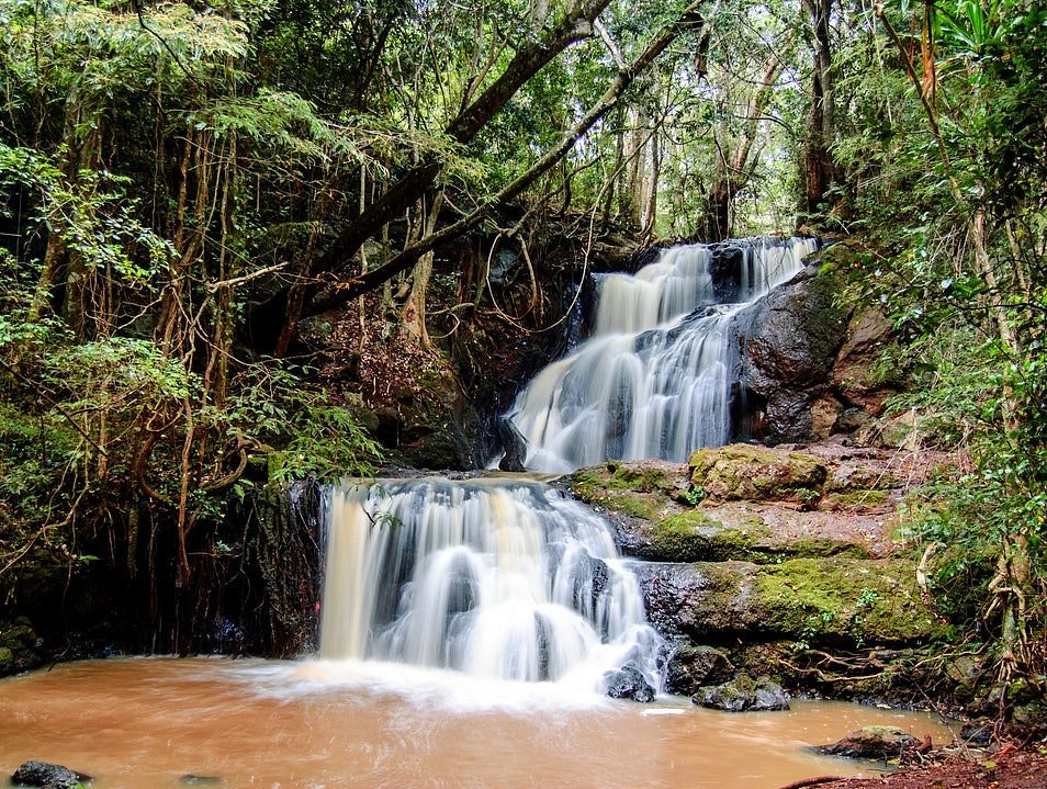 Karura Forest