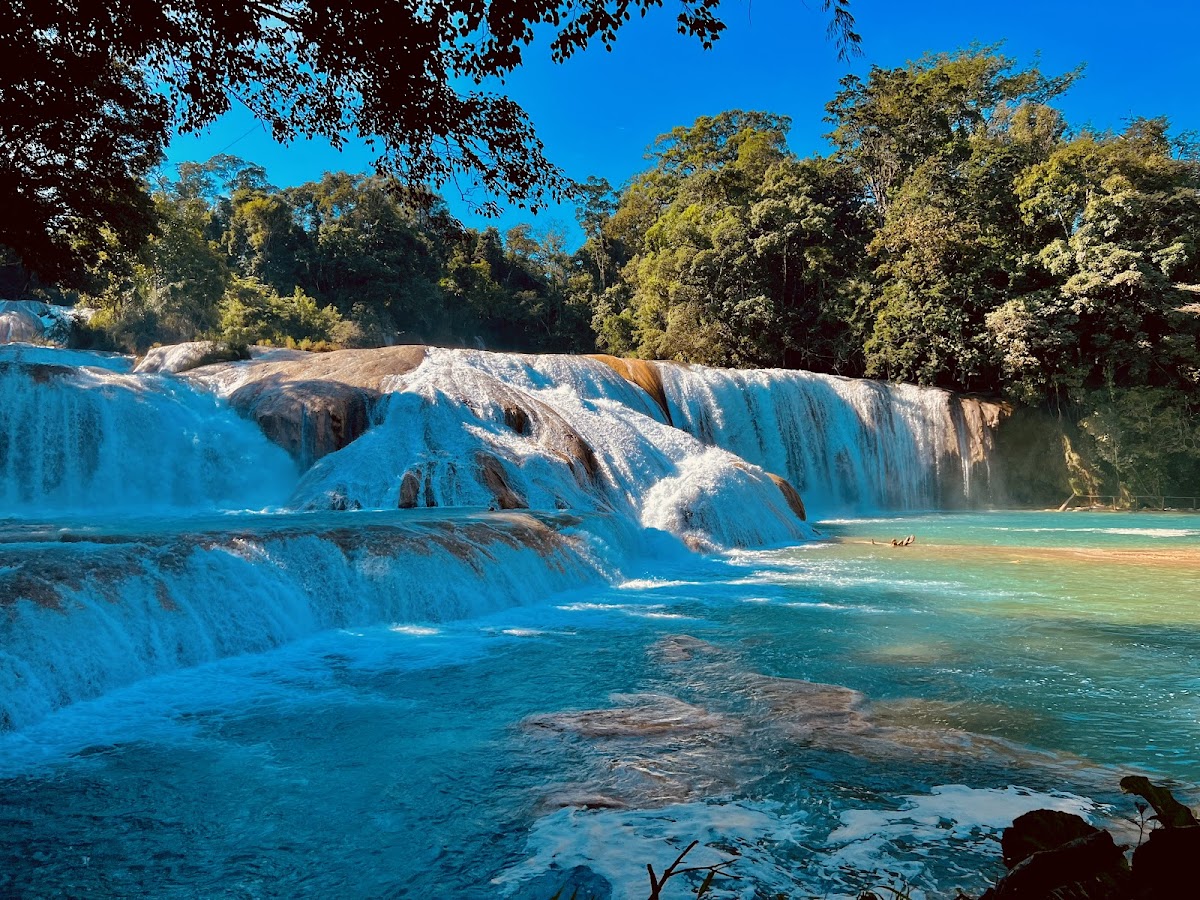 Cascada de Agua Azul