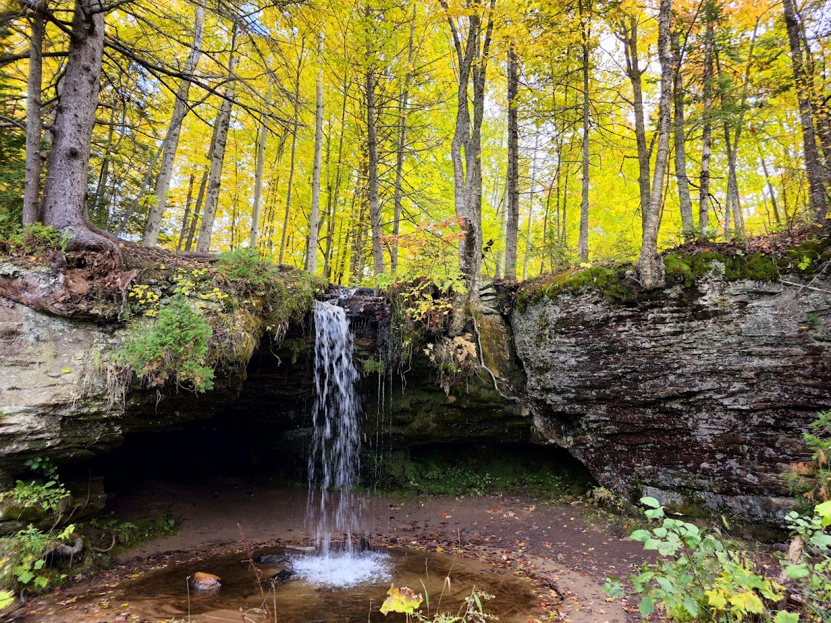Scott Falls