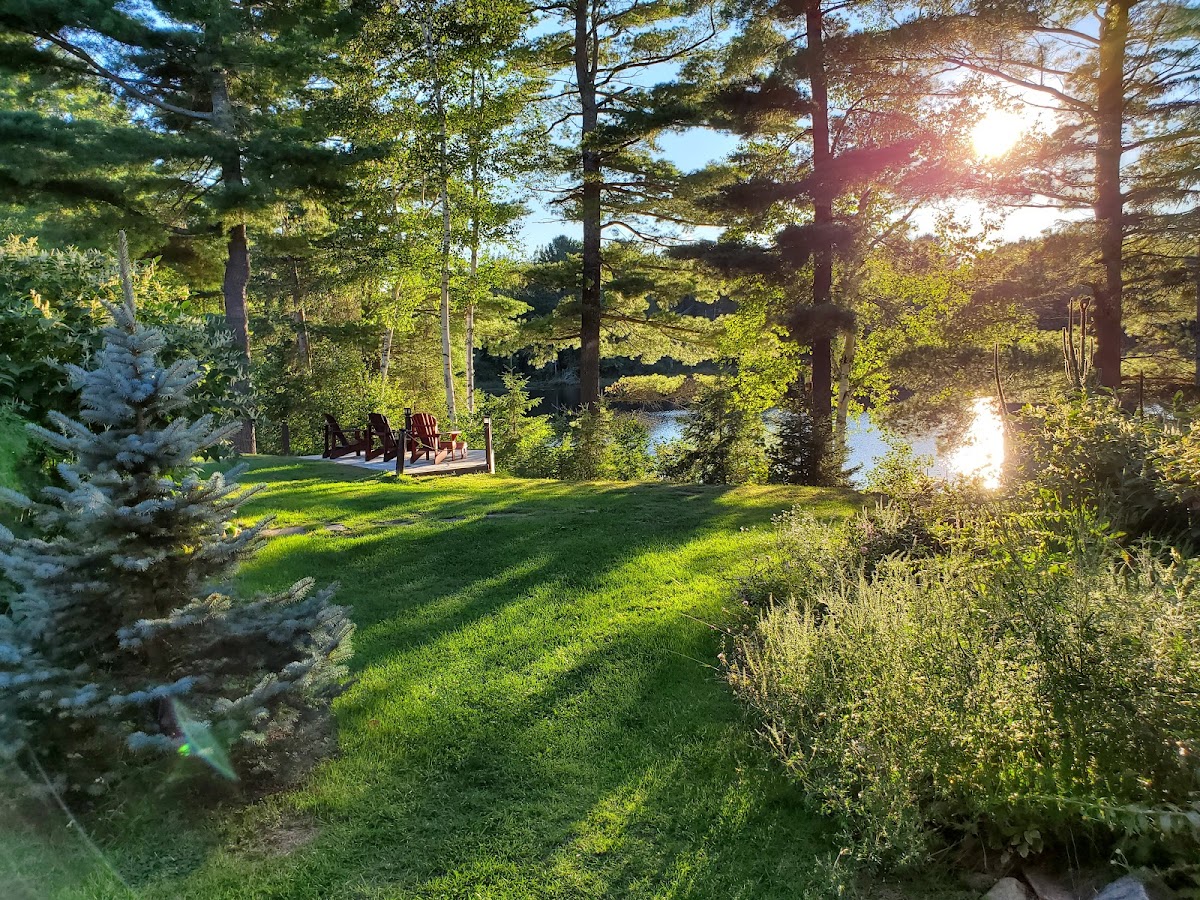 Spring Lake Resort Motel and Restaurant photo 3