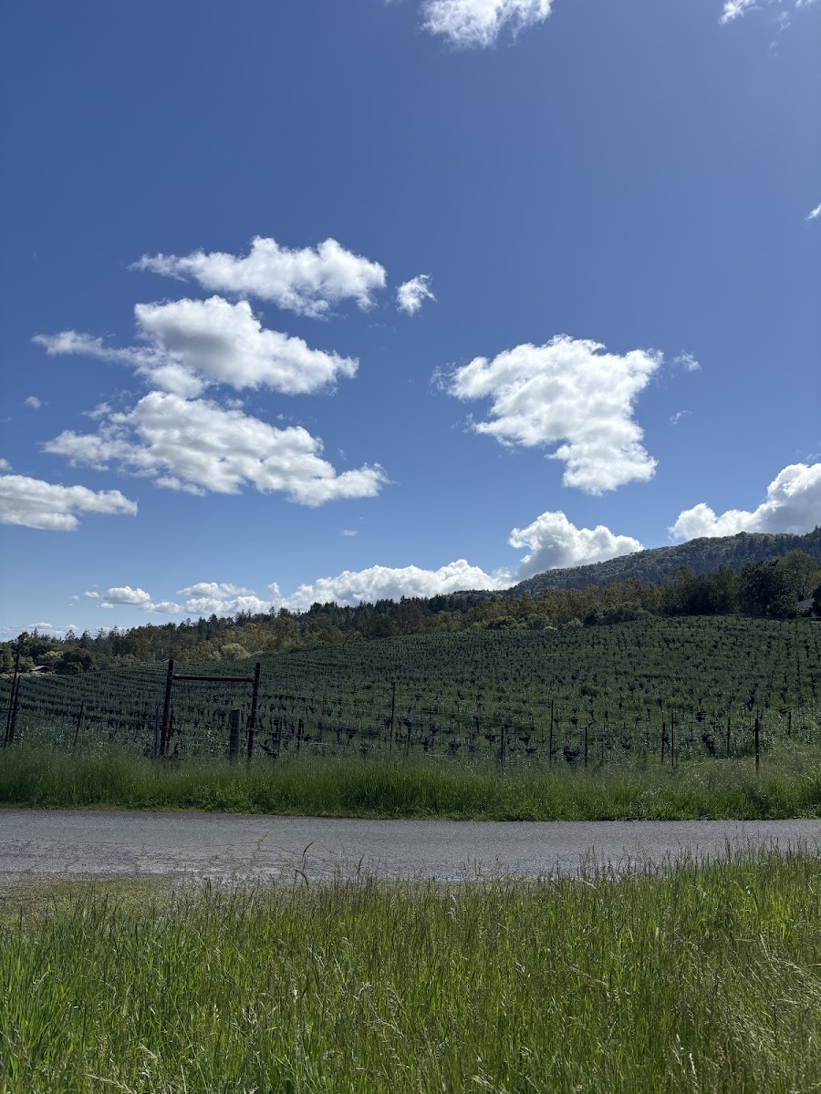 Sonoma Valley