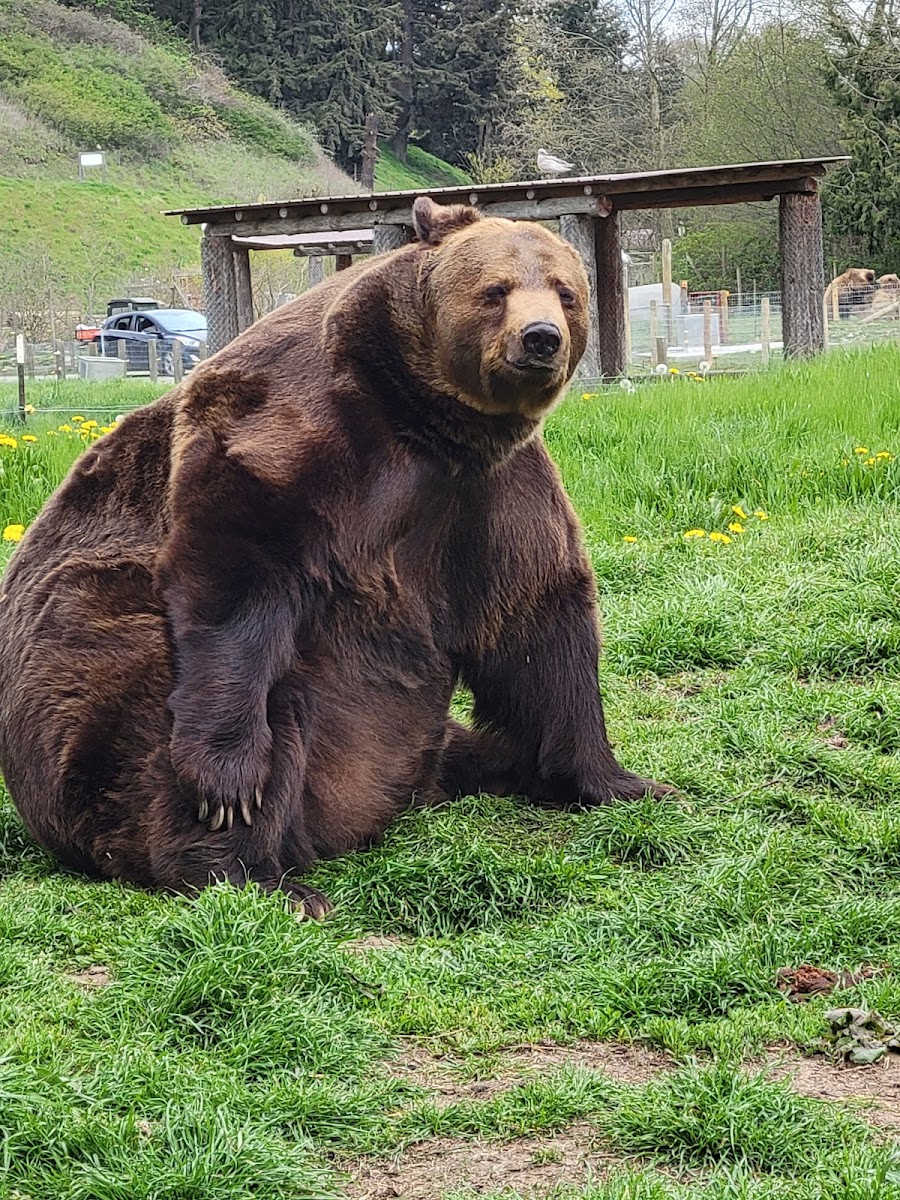 Olympic Game Farm Inc.