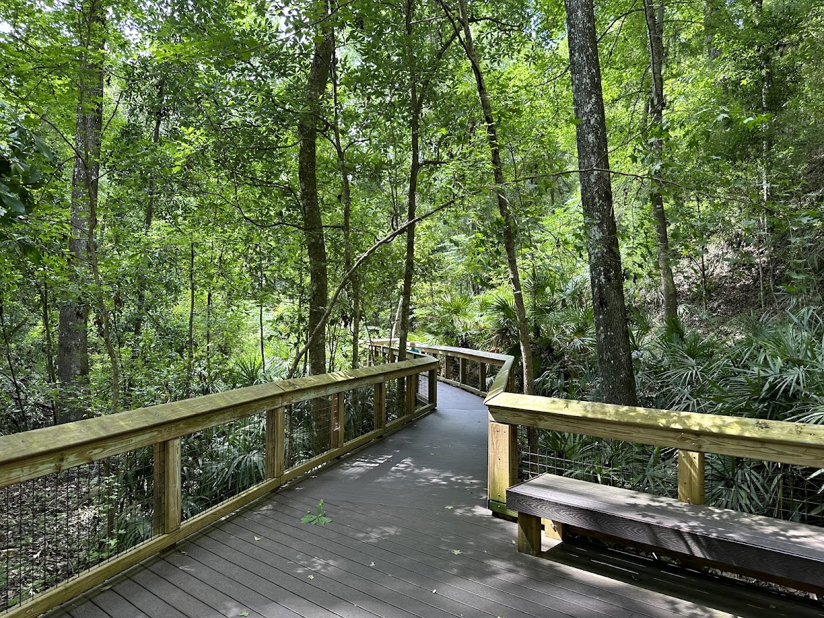 Mike Roess Gold Head Branch State Park