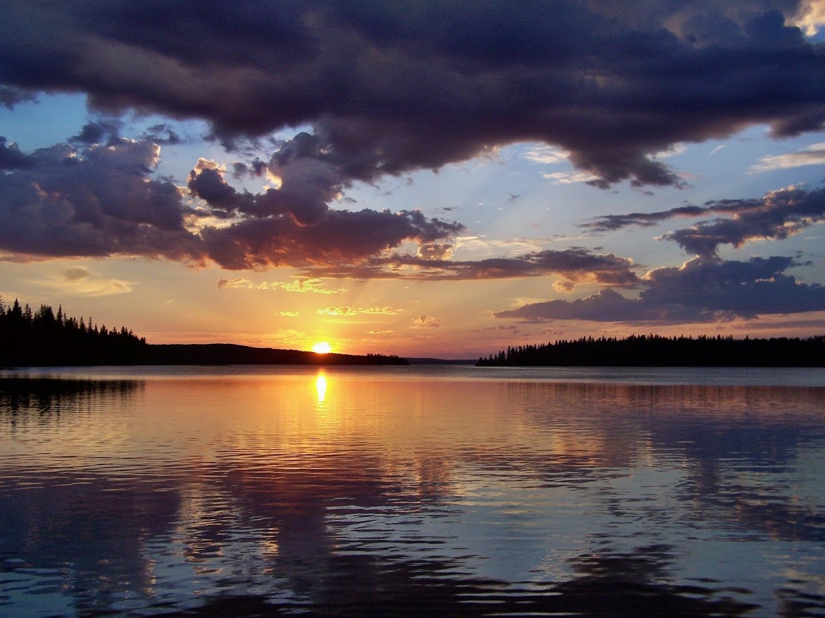Pierce Lake Lodge photo 2