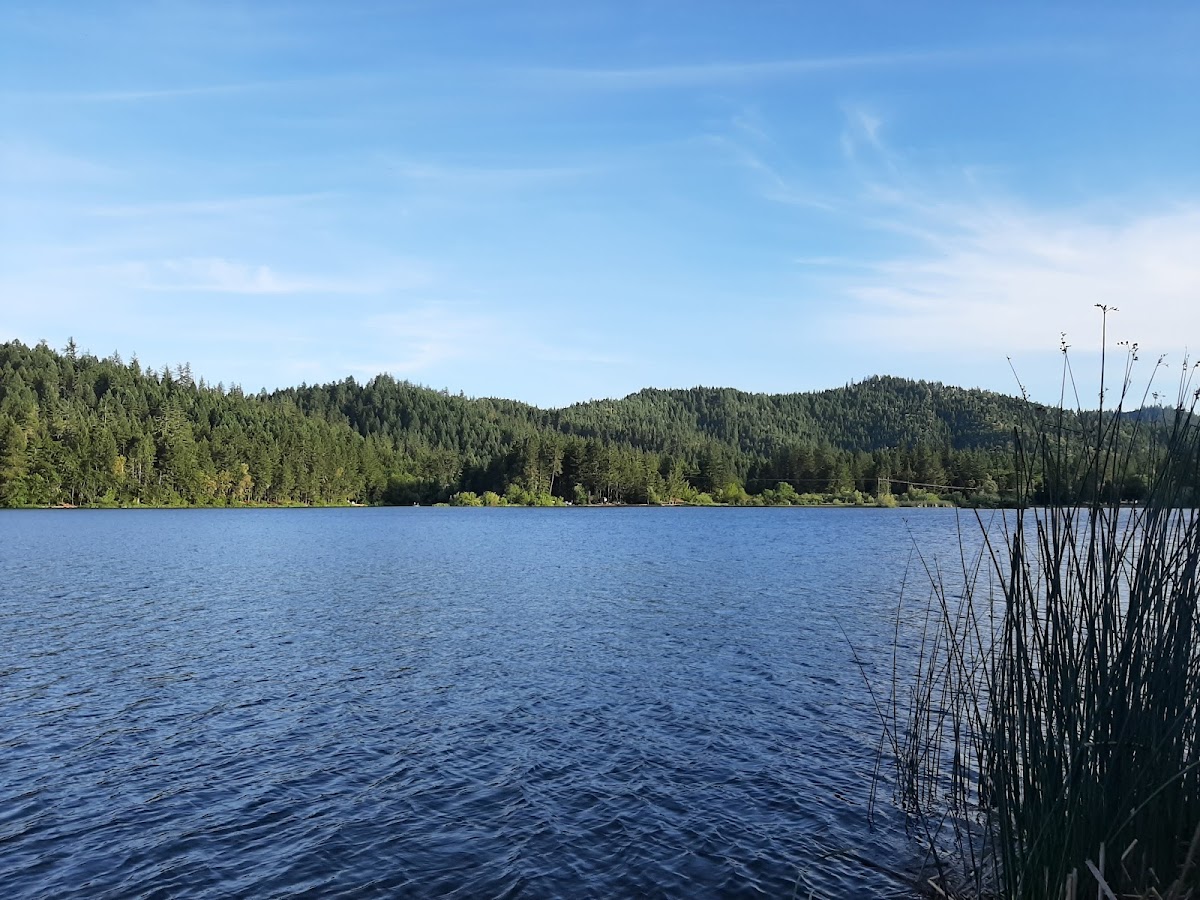 Lake Selmac