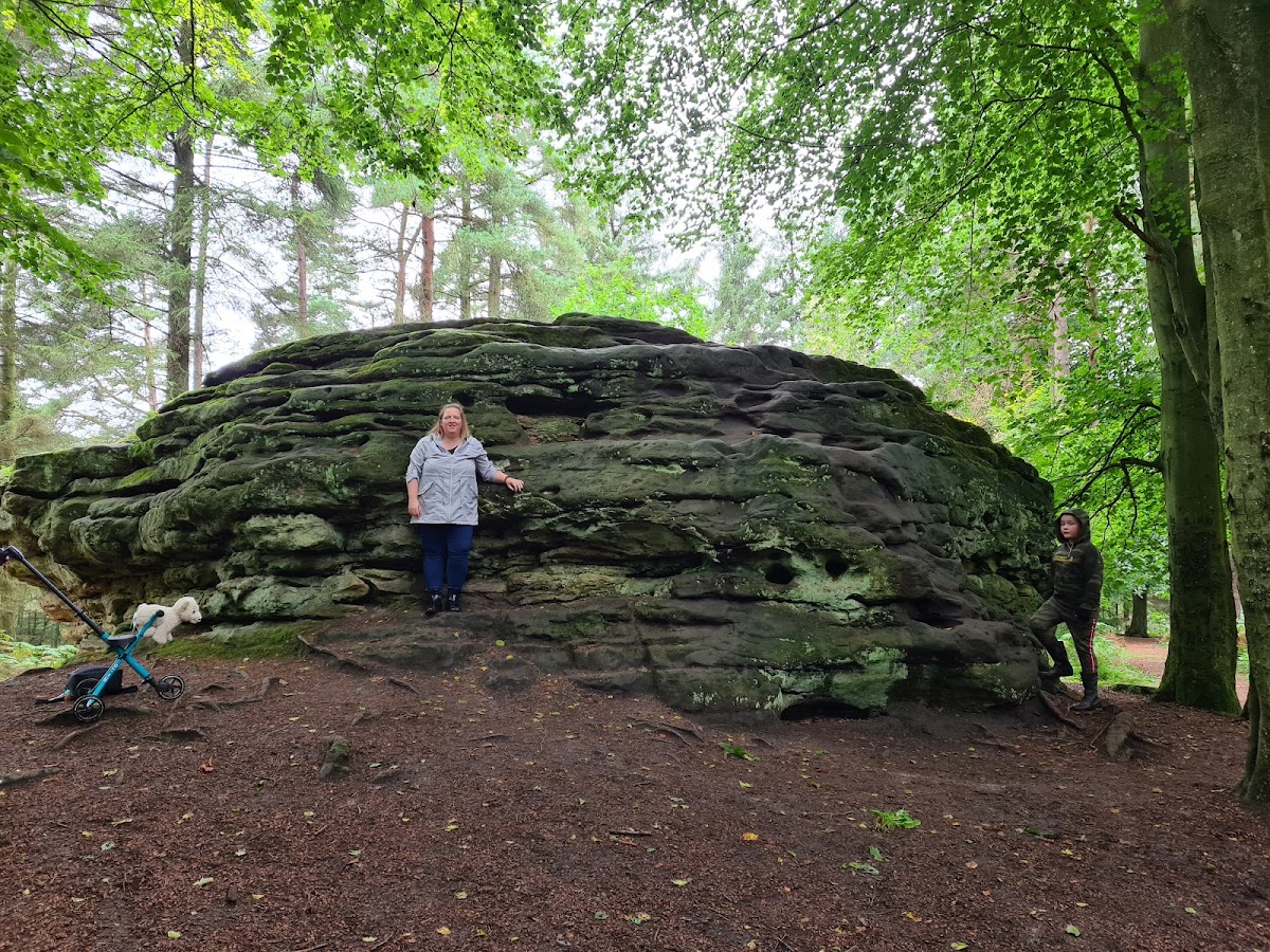 Dalby Forest