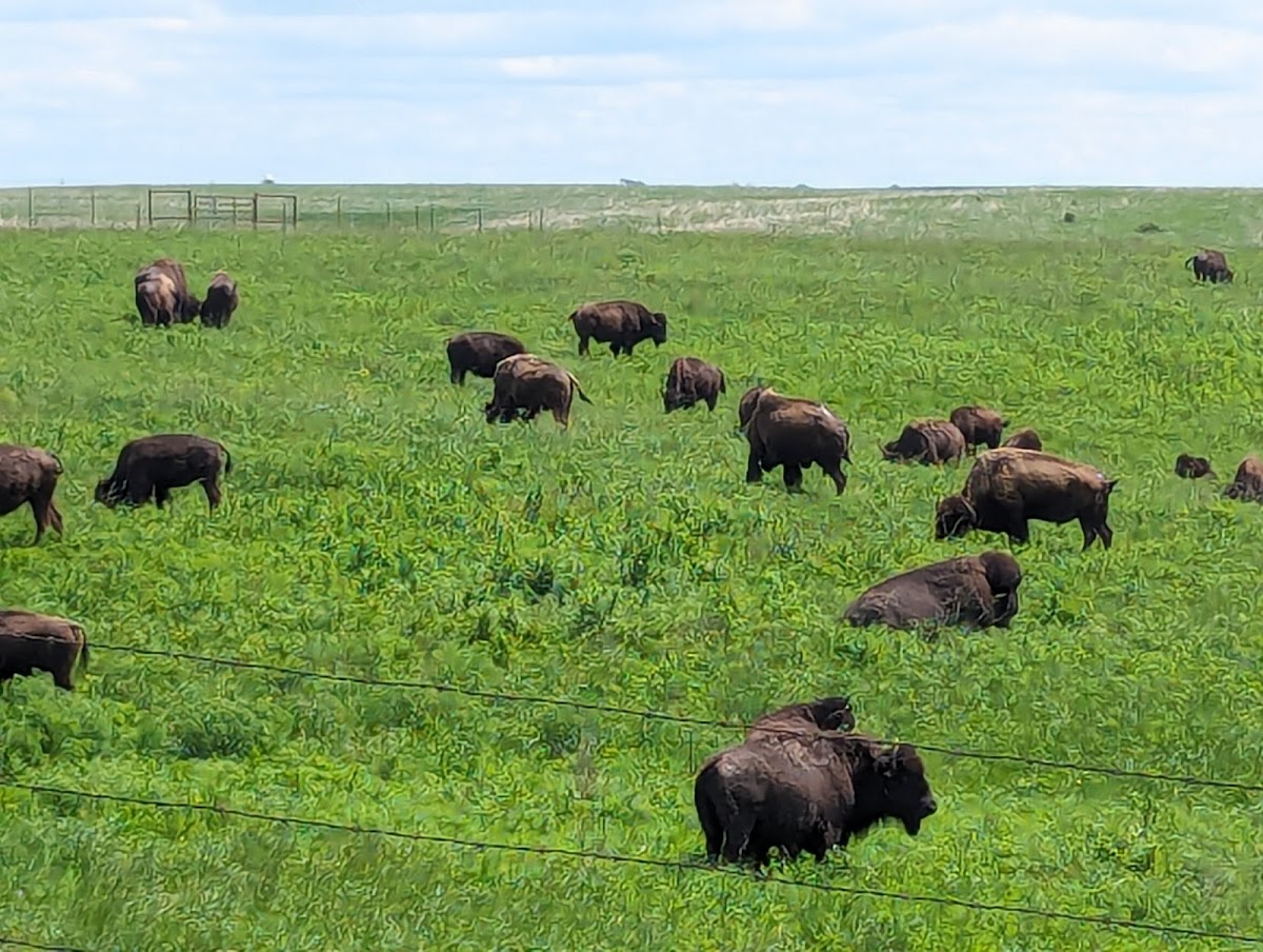 Dunn Ranch Prairie
