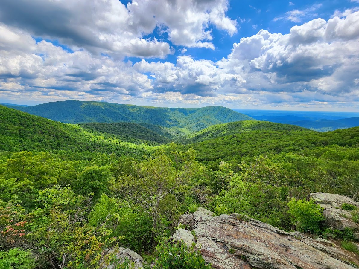 Bearfence Mountain