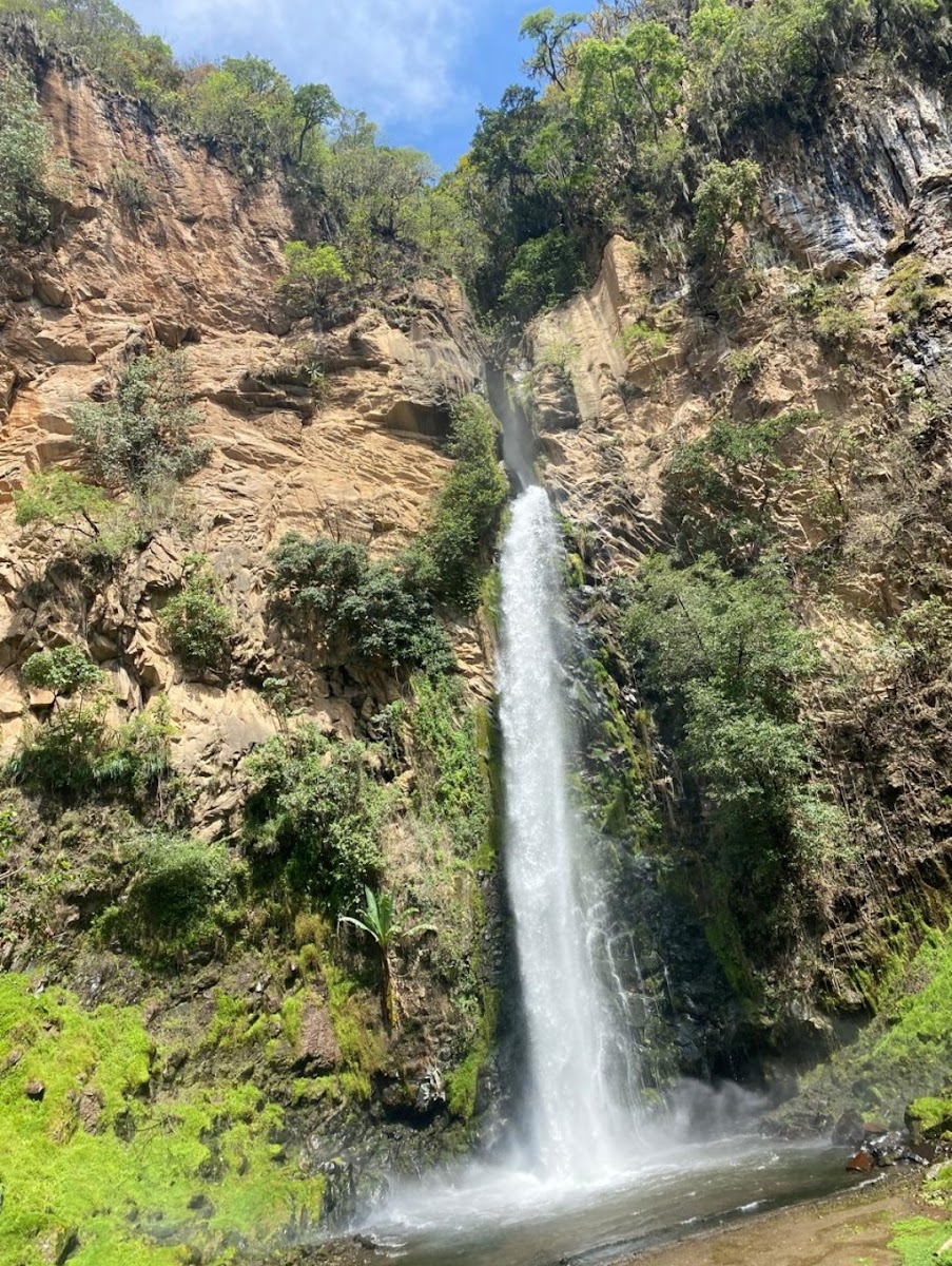 El Salto Park