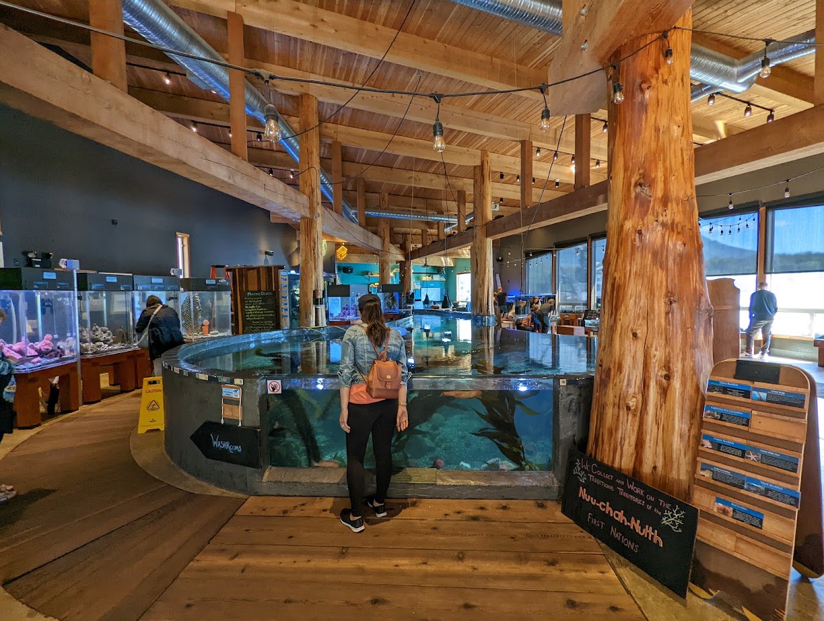 Ucluelet Aquarium