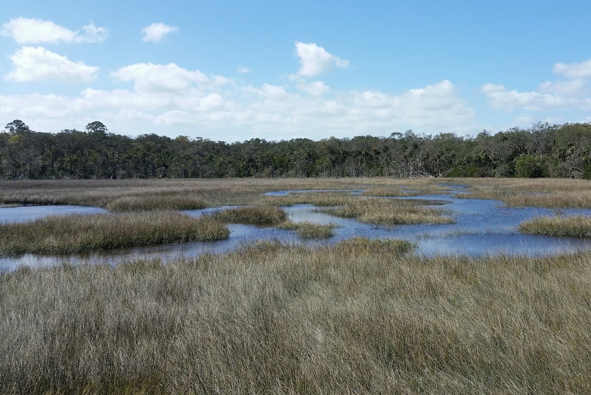 Timucuan Ecological and Historical Preserve