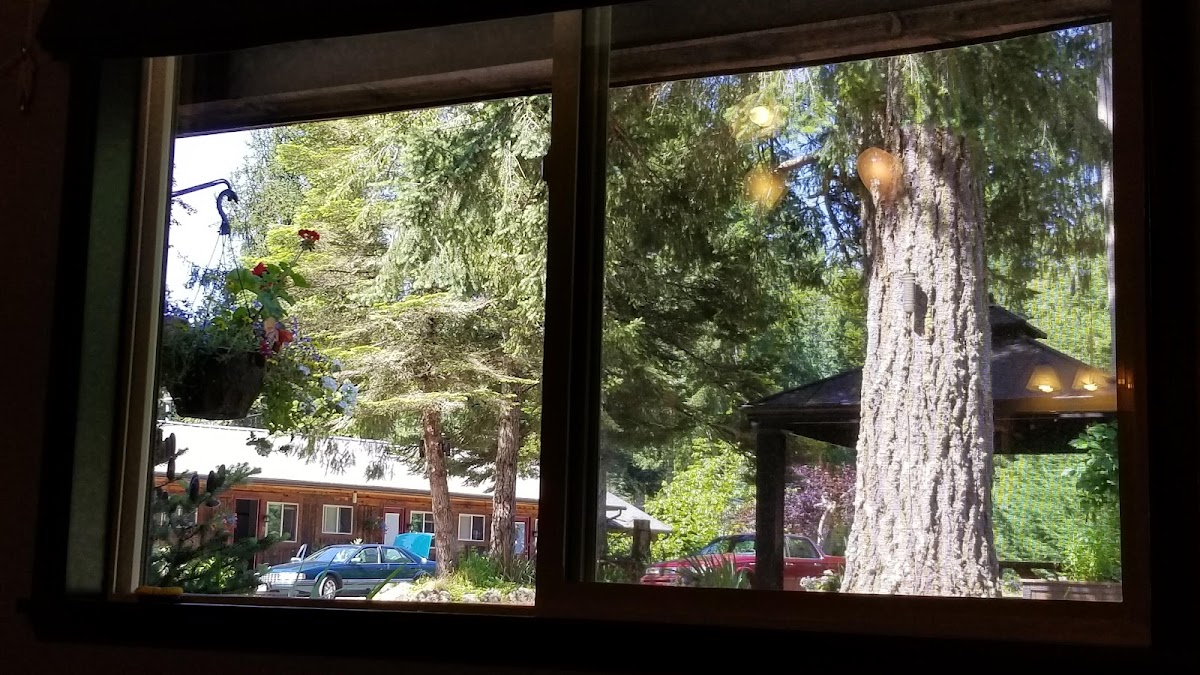 Mount Walker Inn photo 2