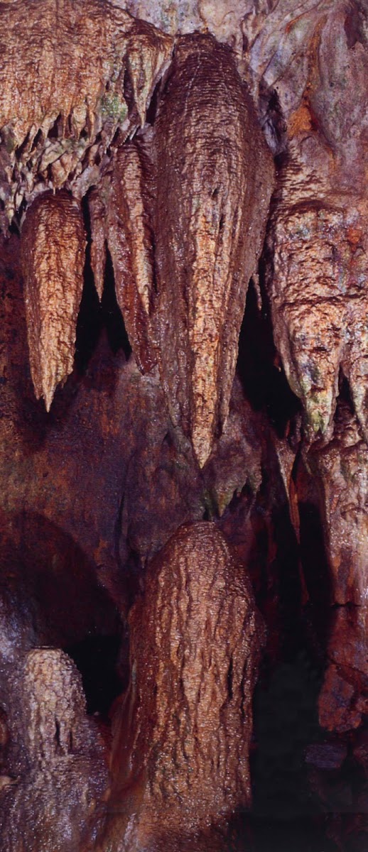 Cascade Caverns