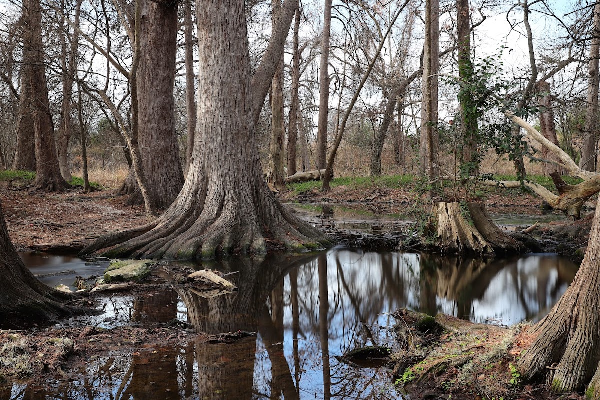 Cibolo Center for Conservation