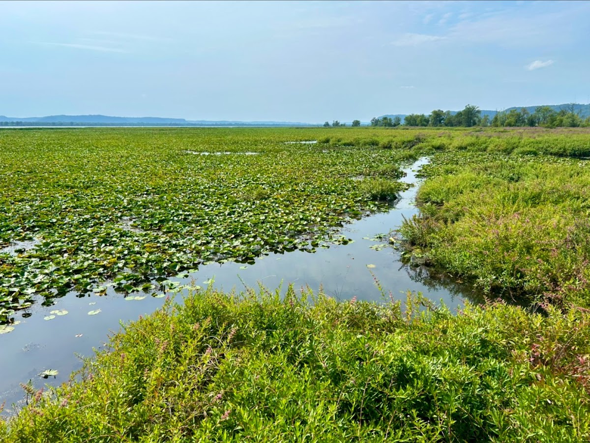 Trempealeau National Wildlife Refuge