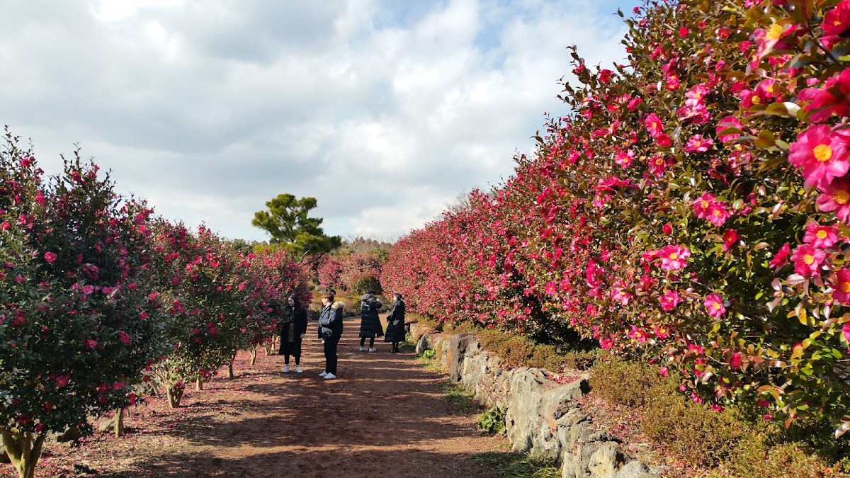 Camellia Hill Botanical Garden