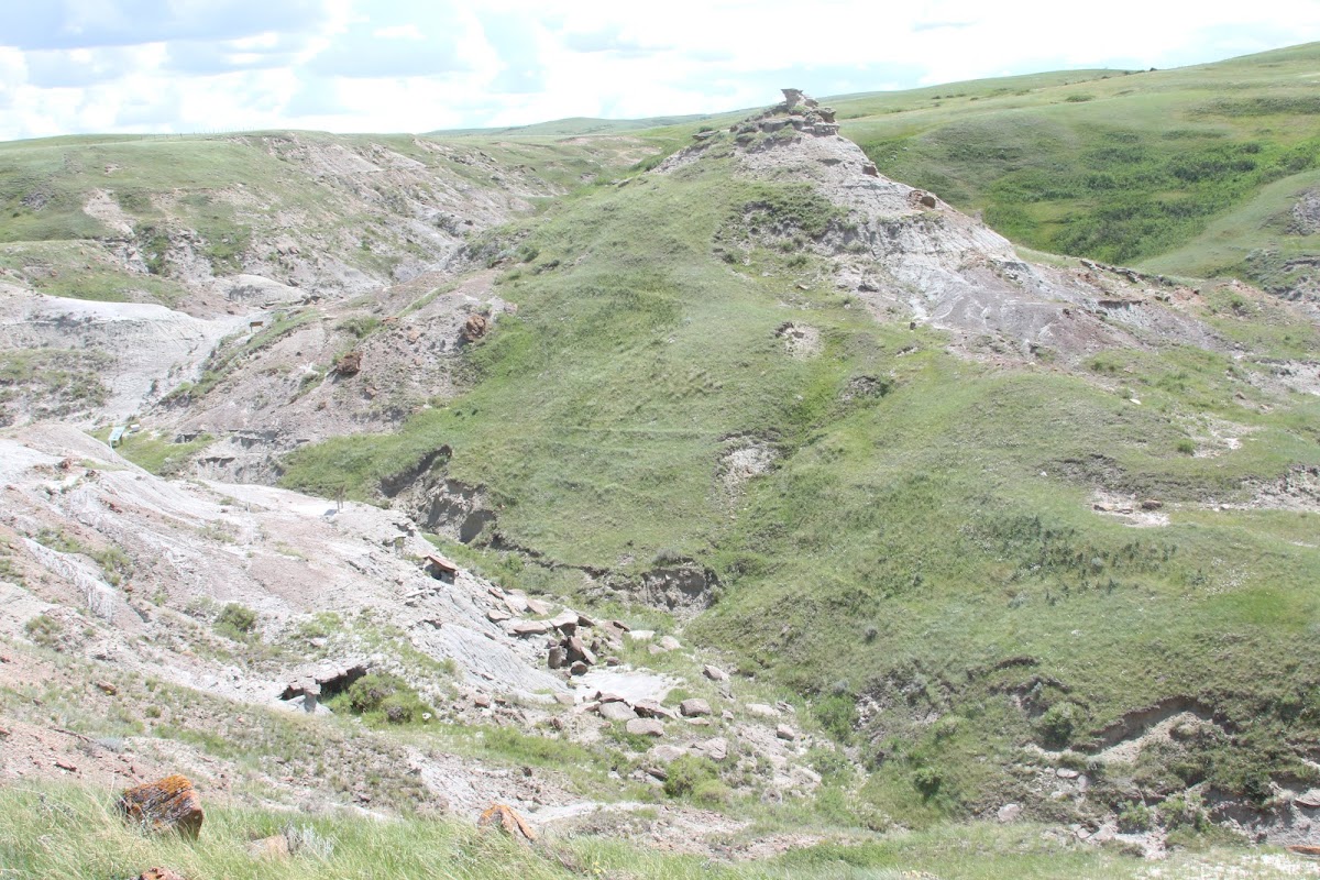 Devil's Coulee Dinosaur Museum