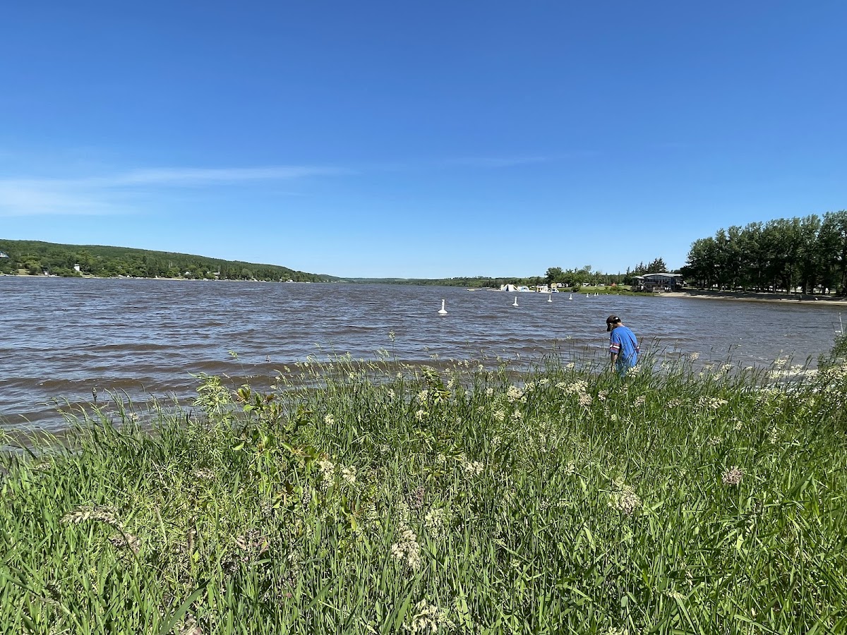 Minnedosa Lake