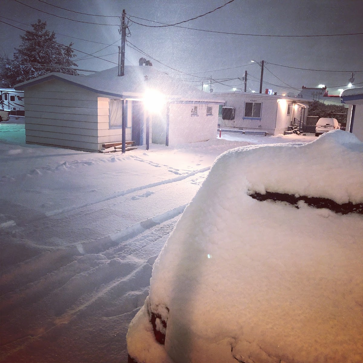 Maple Tree Motel & RV Park photo 3
