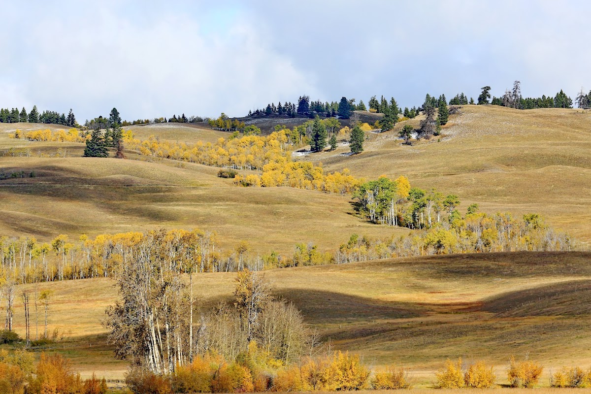 Corbett Lake Lodge photo 3