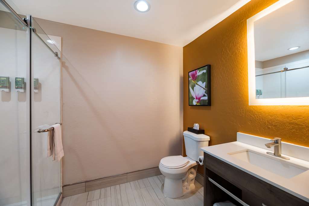 Best Western Bellemont Shadow Mountain Inn photo 3