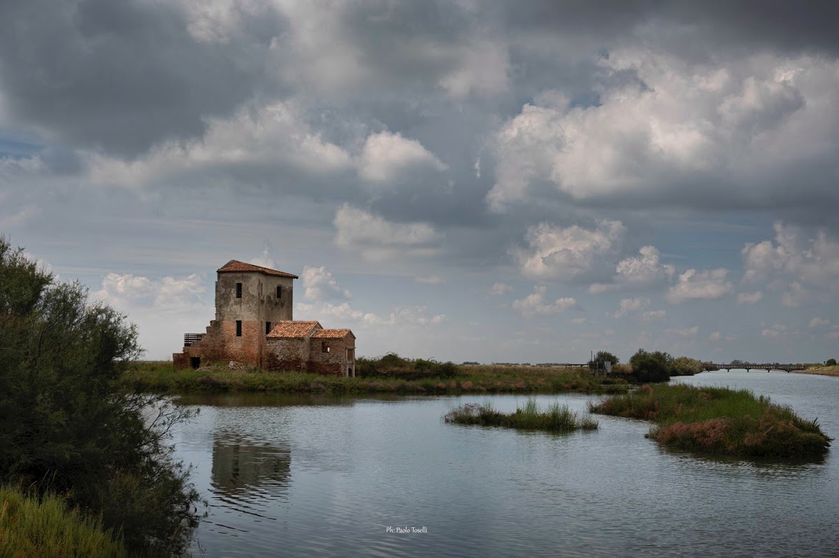 Saline di Comacchio