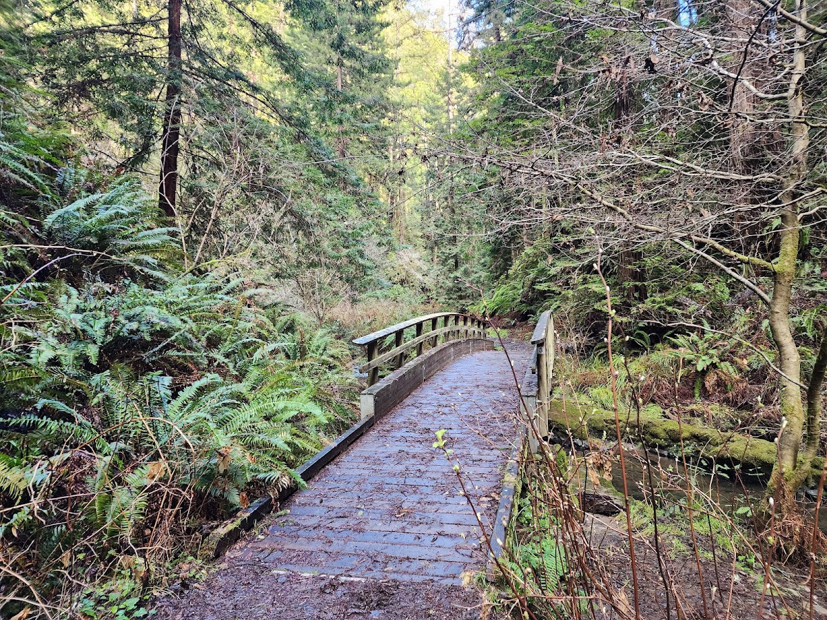 Van Damme State Park