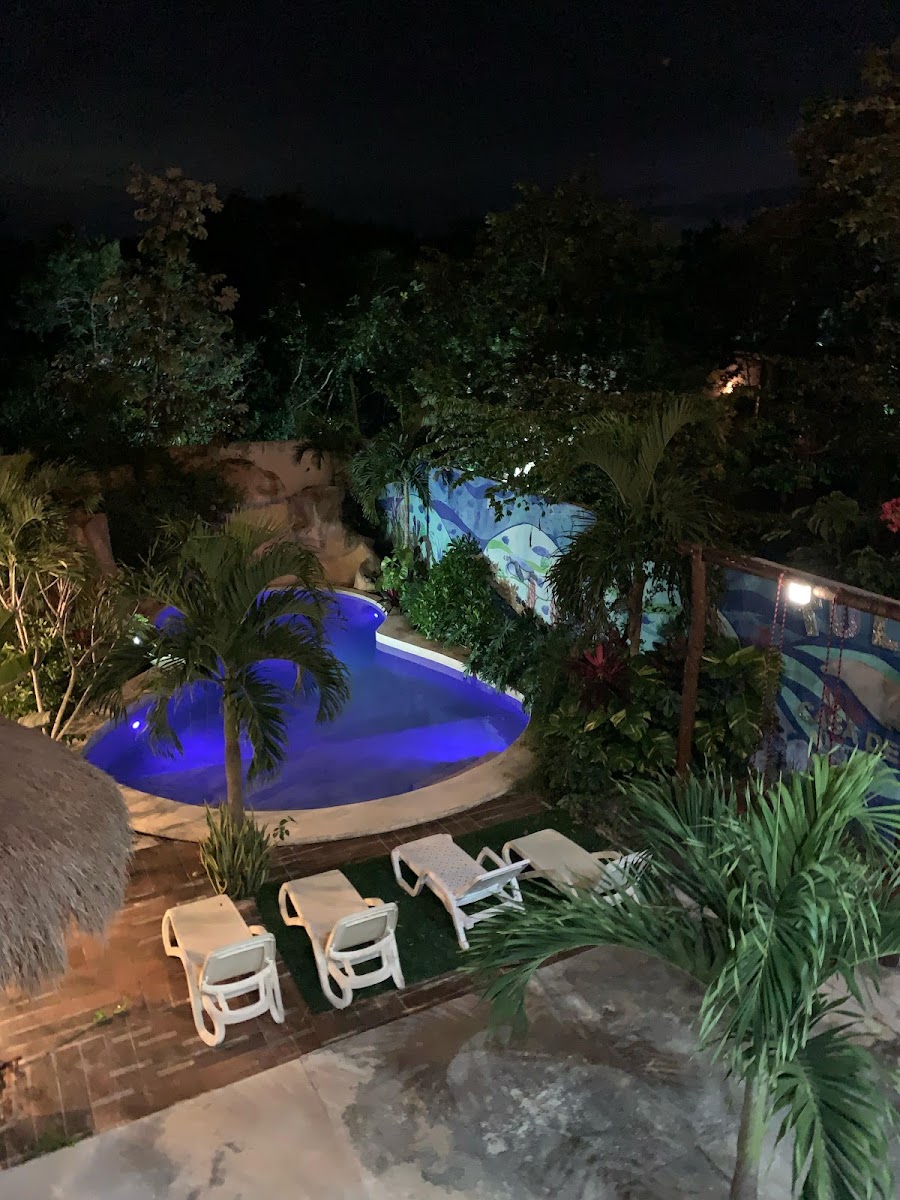 Casa Delfín Tulum photo 3