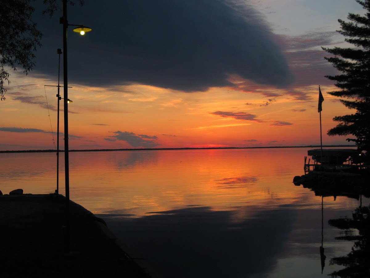 Schell’s Resort photo 2