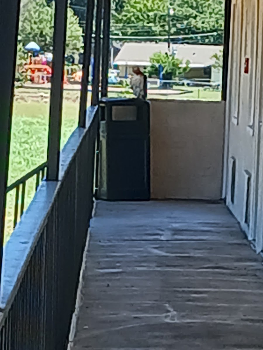 Budget Inn of Texas photo 2