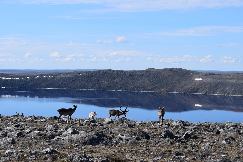 Pingualuit National Park