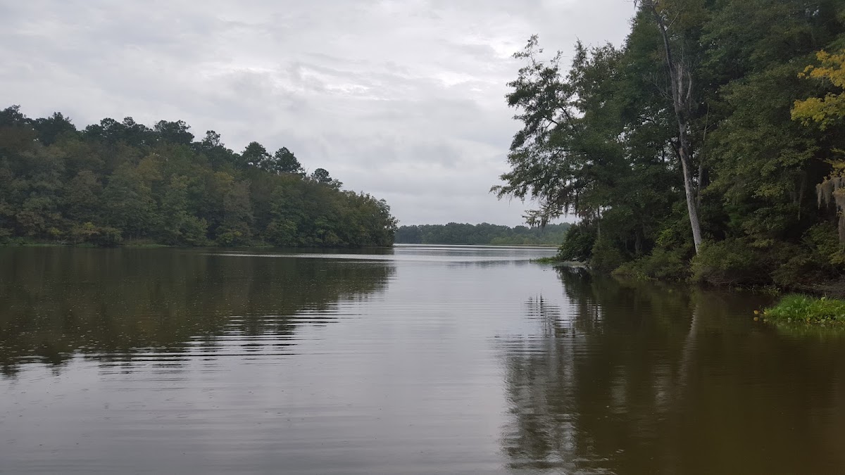 Roland Cooper State Park